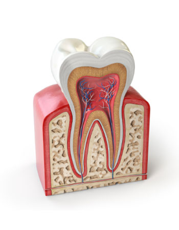 fotos endodontia